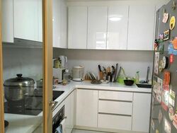 Skypark Residences (D27), Condominium #565205611